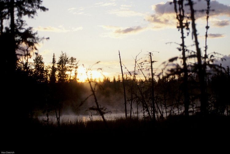 910.jpg - liard hot springs, bc